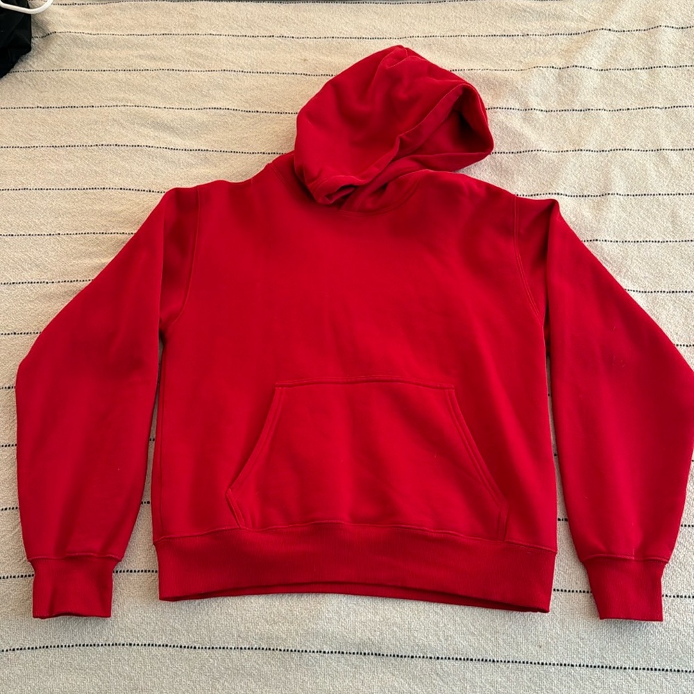 Aritzia hoodie